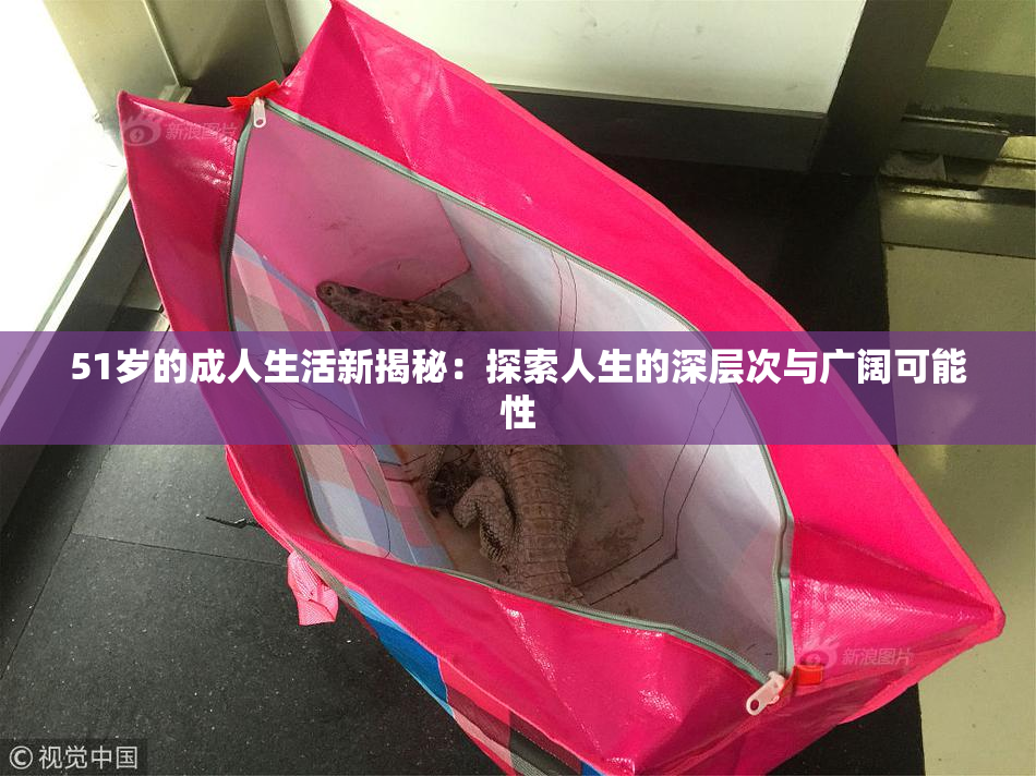 51岁的成人生活新揭秘：探索人生的深层次与广阔可能性