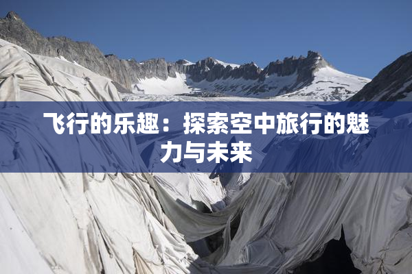 飞行的乐趣：探索空中旅行的魅力与未来