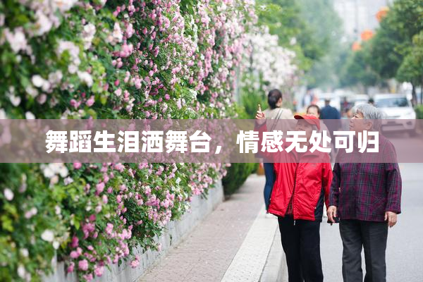 舞蹈生泪洒舞台，情感无处可归