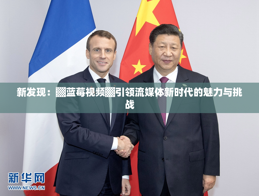 新发现：▓蓝莓视频▓引领流媒体新时代的魅力与挑战