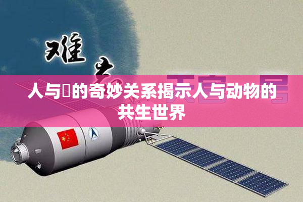人与嘼的奇妙关系揭示人与动物的共生世界