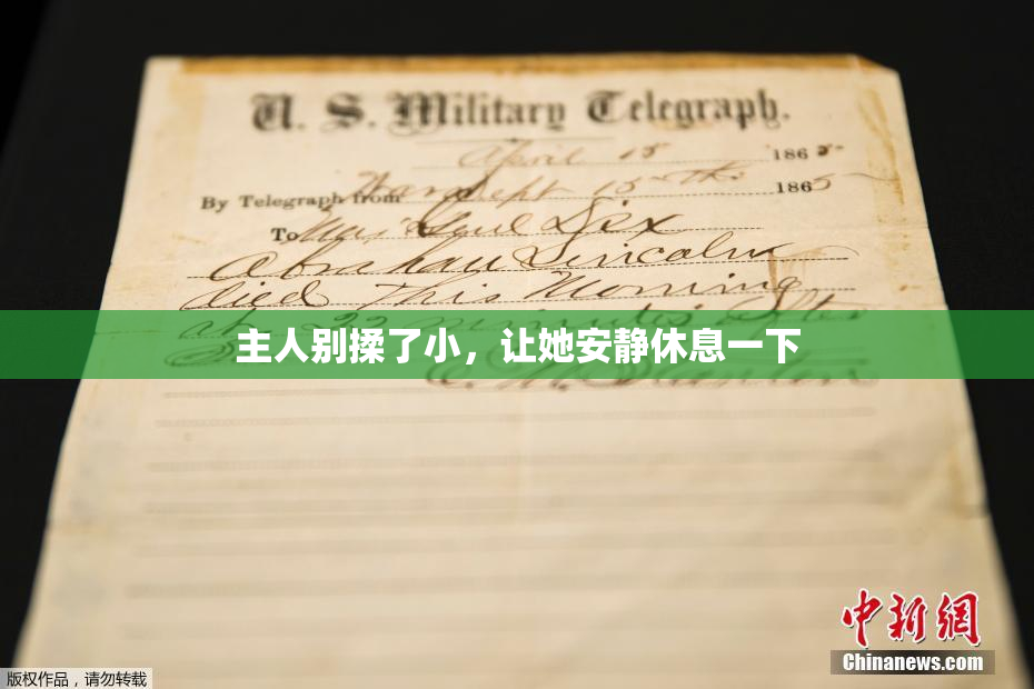 主人别揉了小，让她安静休息一下