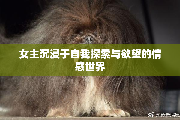 女主沉浸于自我探索与欲望的情感世界