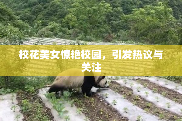 校花美女惊艳校园，引发热议与关注