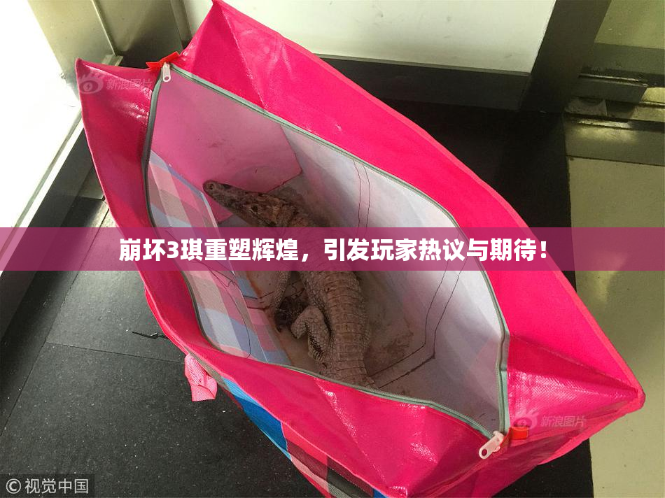崩坏3琪重塑辉煌，引发玩家热议与期待！