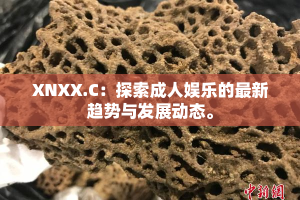 XNXX.C：探索成人娱乐的最新趋势与发展动态。