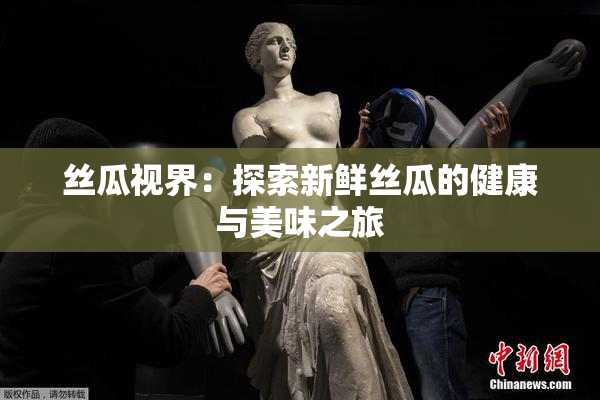 丝瓜视界：探索新鲜丝瓜的健康与美味之旅
