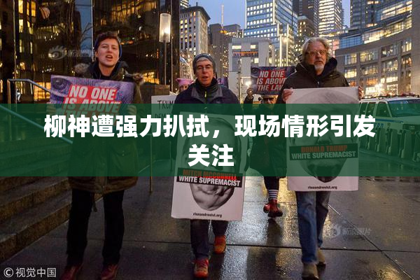 柳神遭强力扒拭，现场情形引发关注
