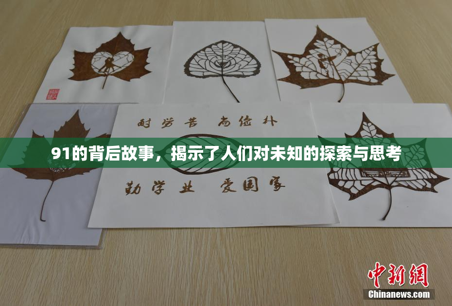 91的背后故事，揭示了人们对未知的探索与思考