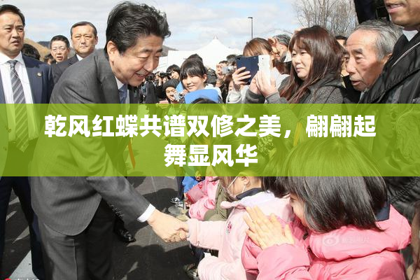 乾风红蝶共谱双修之美，翩翩起舞显风华