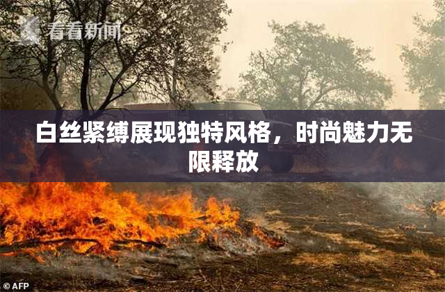 白丝紧缚展现独特风格，时尚魅力无限释放