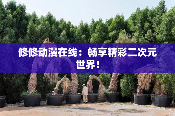 修修动漫在线：畅享精彩二次元世界！