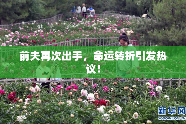 前夫再次出手，命运转折引发热议！