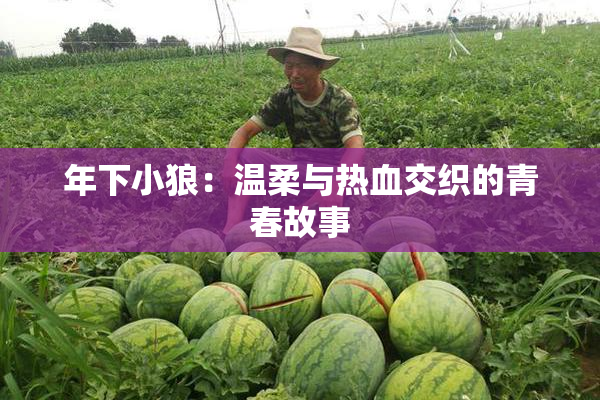 年下小狼：温柔与热血交织的青春故事