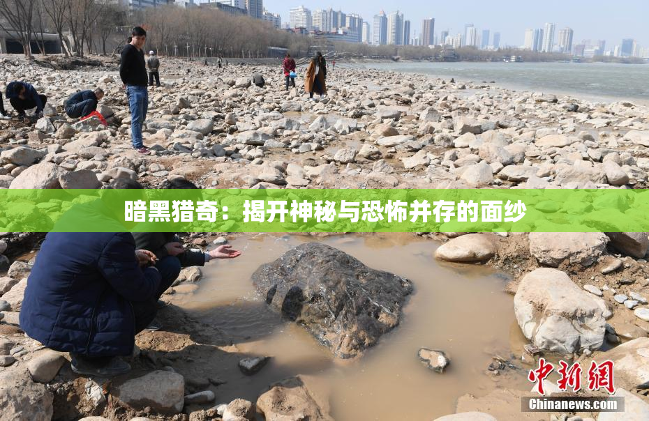 暗黑猎奇：揭开神秘与恐怖并存的面纱
