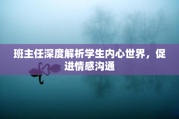 班主任深度解析学生内心世界，促进情感沟通