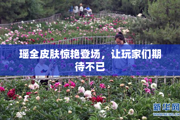 瑶全皮肤惊艳登场，让玩家们期待不已