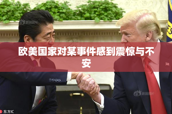 欧美国家对某事件感到震惊与不安