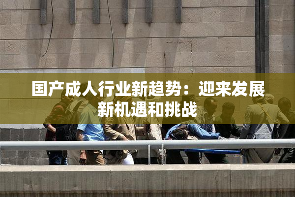 国产成人行业新趋势：迎来发展新机遇和挑战