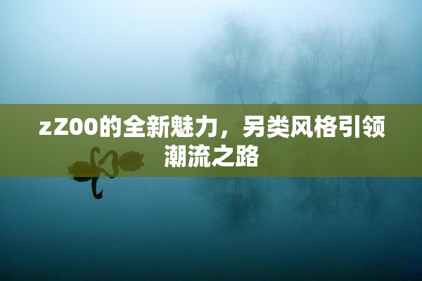 zZ00的全新魅力，另类风格引领潮流之路