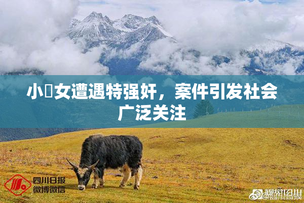 小處女遭遇特强奸，案件引发社会广泛关注