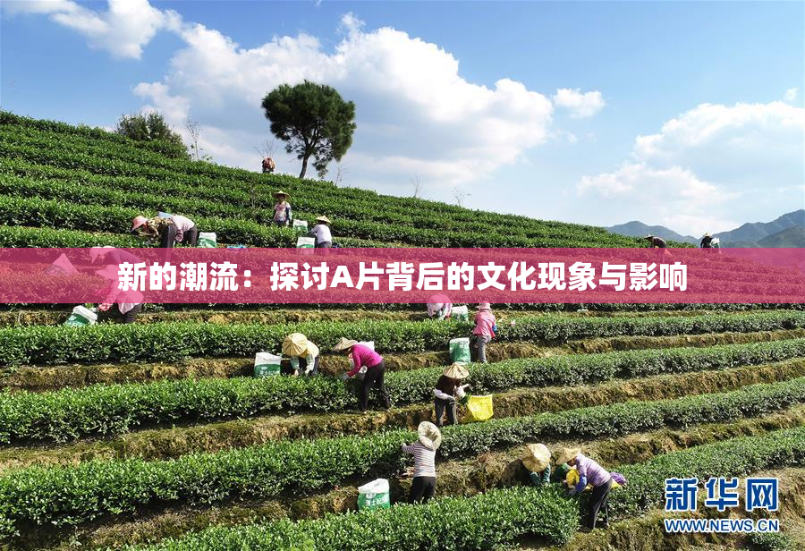 新的潮流：探讨A片背后的文化现象与影响