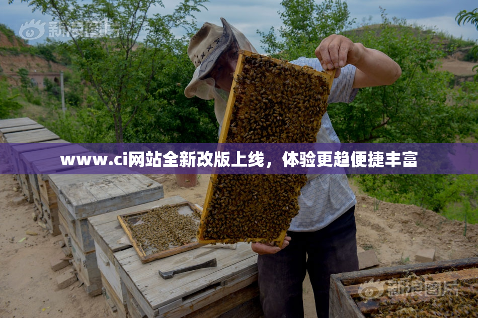 www.ci网站全新改版上线，体验更趋便捷丰富