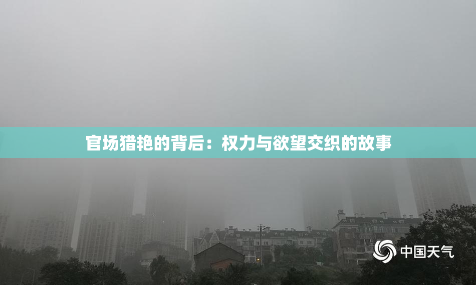 官场猎艳的背后：权力与欲望交织的故事