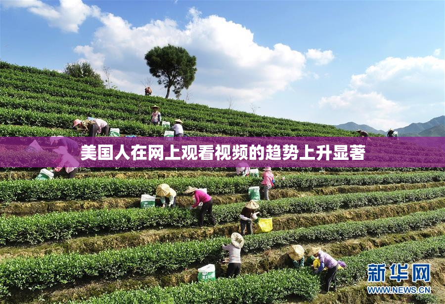 美国人在网上观看视频的趋势上升显著