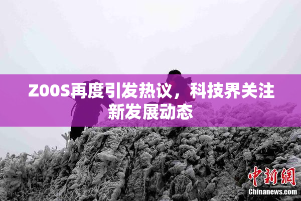 Z00S再度引发热议，科技界关注新发展动态