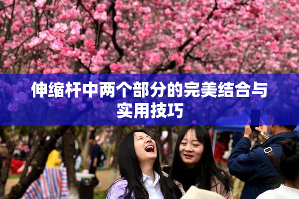 伸缩杆中两个部分的完美结合与实用技巧