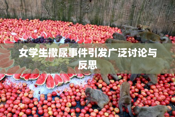 女学生撒尿事件引发广泛讨论与反思