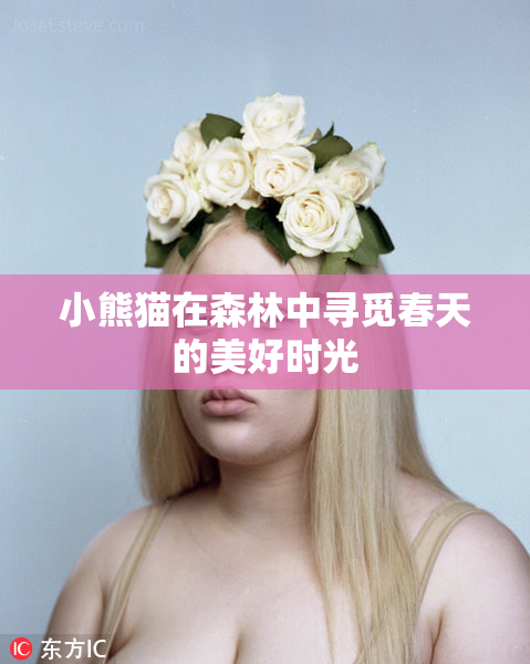 小熊猫在森林中寻觅春天的美好时光