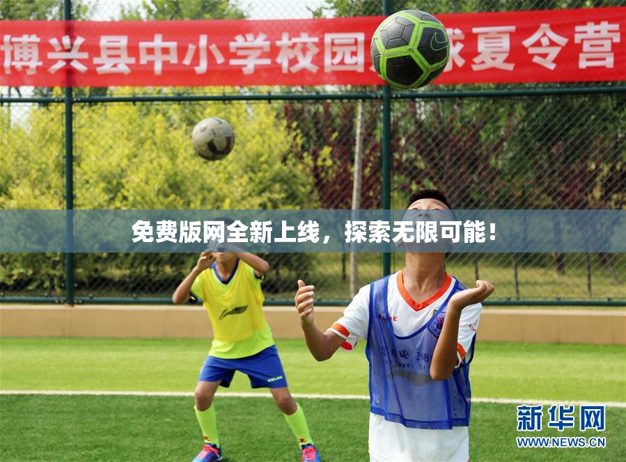 免费版网全新上线，探索无限可能！