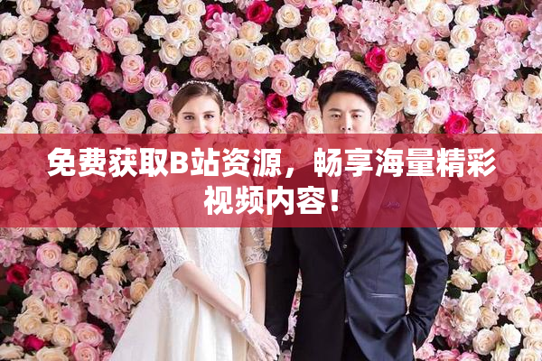 免费获取B站资源，畅享海量精彩视频内容！