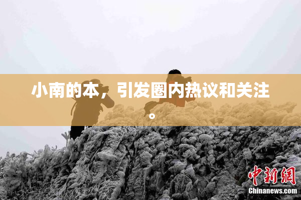 小南的本，引发圈内热议和关注。