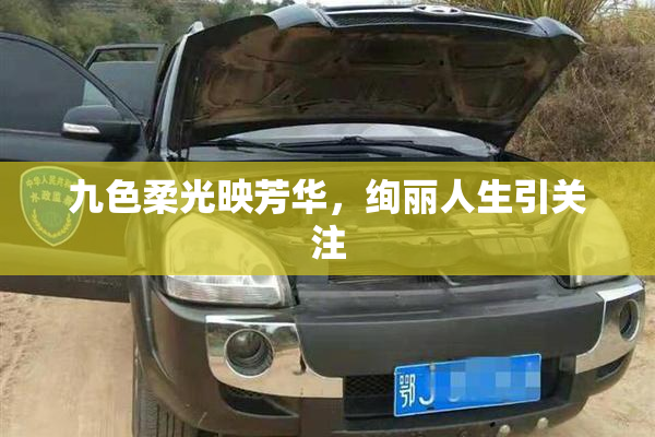 九色柔光映芳华，绚丽人生引关注