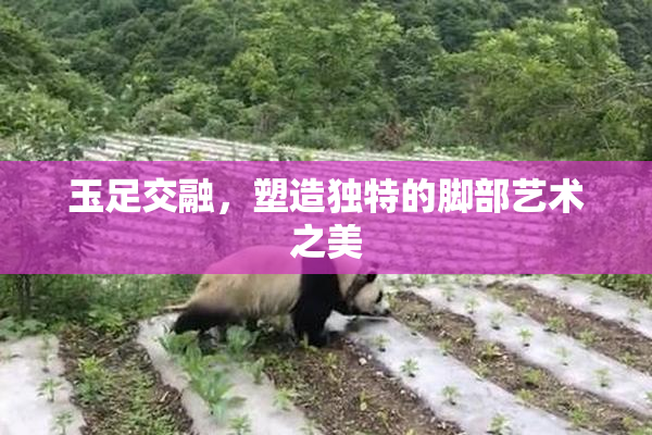 玉足交融，塑造独特的脚部艺术之美