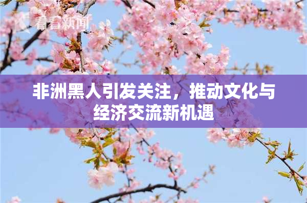 非洲黑人引发关注，推动文化与经济交流新机遇