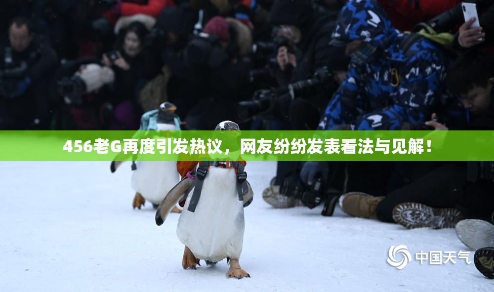 456老G再度引发热议，网友纷纷发表看法与见解！