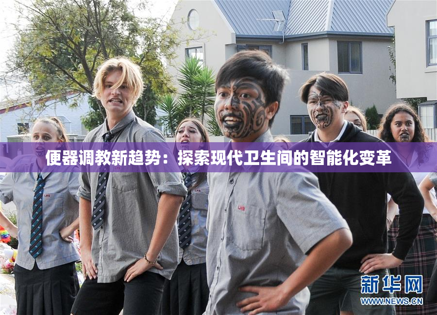 便器调教新趋势：探索现代卫生间的智能化变革