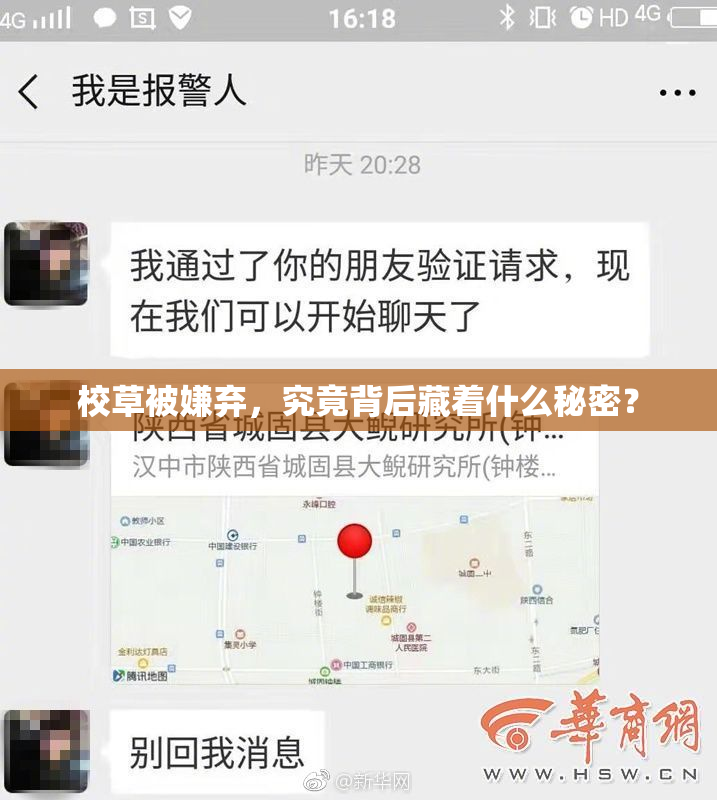 校草被嫌弃，究竟背后藏着什么秘密？