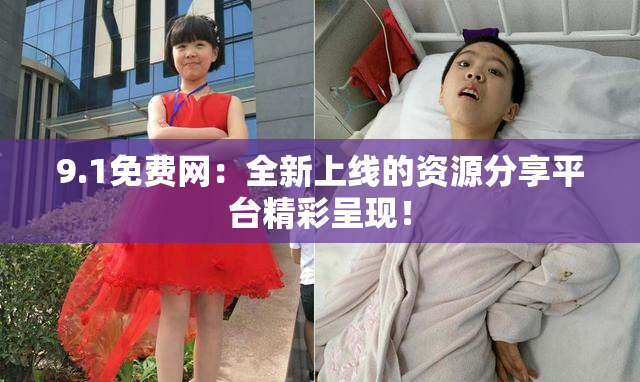 9.1免费网：全新上线的资源分享平台精彩呈现！