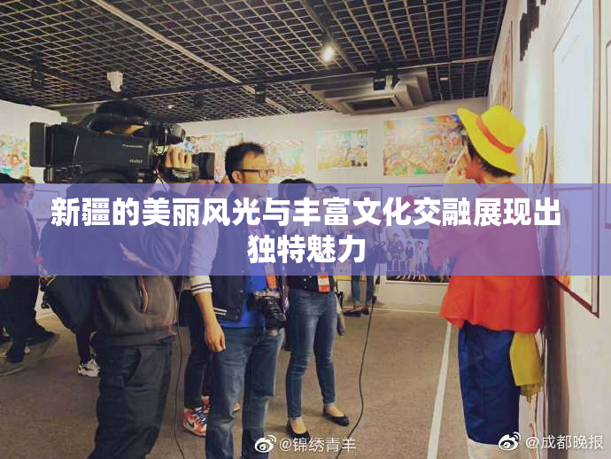 新疆的美丽风光与丰富文化交融展现出独特魅力