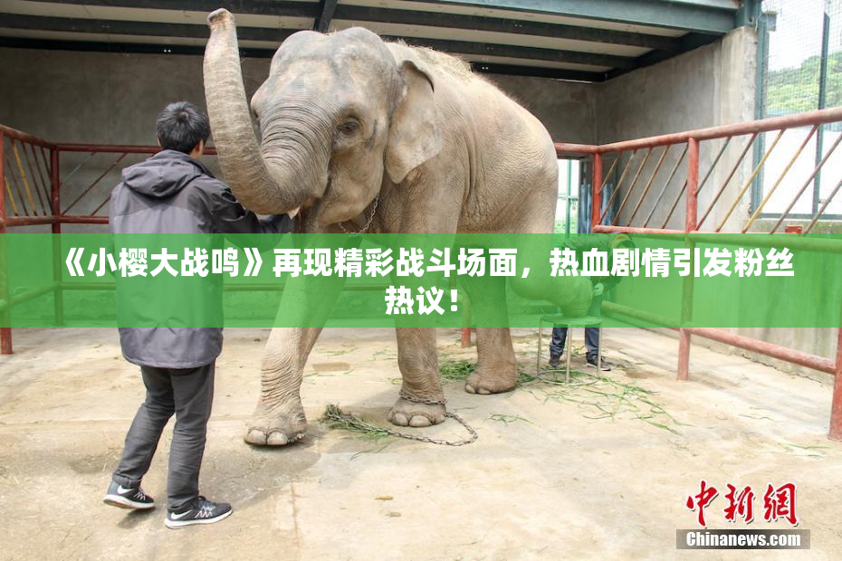 《小樱大战鸣》再现精彩战斗场面，热血剧情引发粉丝热议！