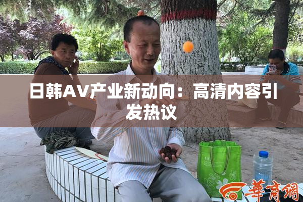 日韩AV产业新动向：高清内容引发热议