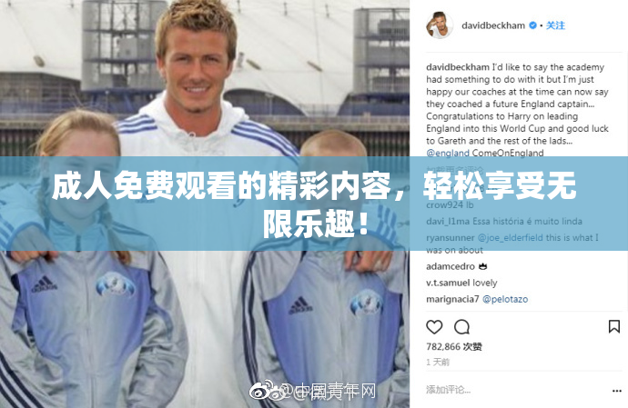 成人免费观看的精彩内容，轻松享受无限乐趣！