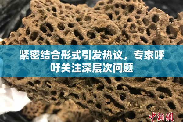 紧密结合形式引发热议，专家呼吁关注深层次问题