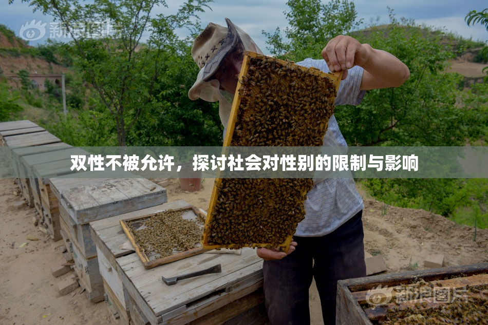 双性不被允许，探讨社会对性别的限制与影响
