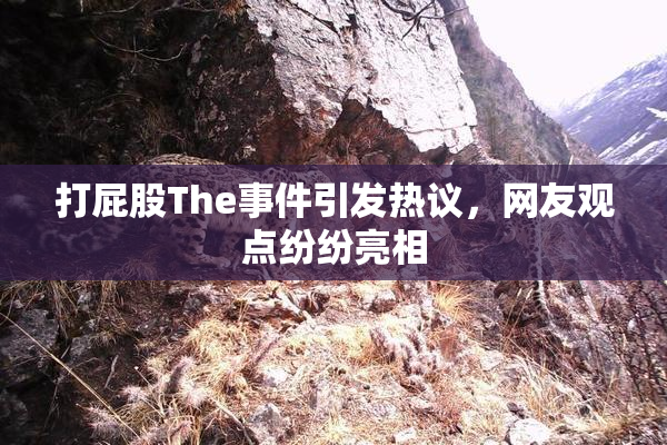 打屁股The事件引发热议，网友观点纷纷亮相